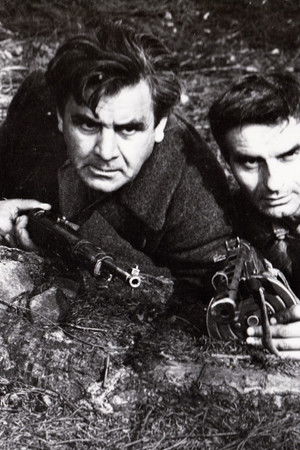 Legenda o živých mrtvých