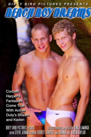 Beach Boy Dreams