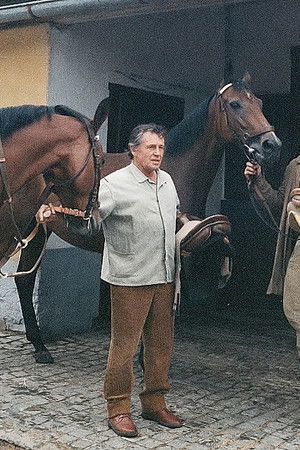 Obyčejná koňská historie