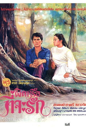 ผิดหรือที่จะรัก