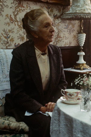 Bayan Marple: Nemesis