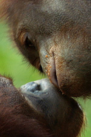 Equator from the Air