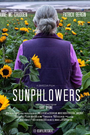 Sunphlowers