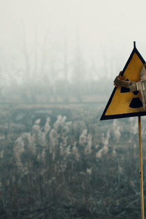 The Chernobyl Disaster