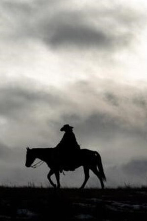 Bring on the Dancing Horses