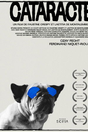 Cataracte