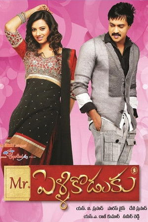 మిస్టర్ పెళ్ళికొడుకు