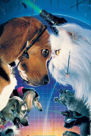 Kediler ve Köpekler