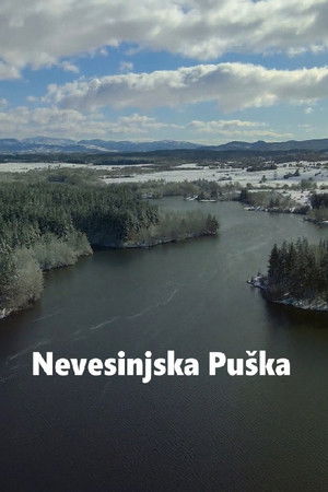Nevesinjska puška