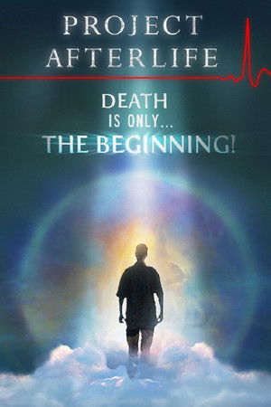 Project Afterlife