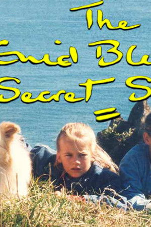 The Enid Blyton Secret Series