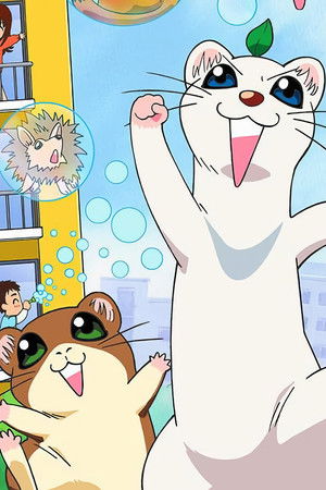 しあわせソウのオコジョさん