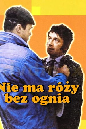 Nie ma róży bez ognia