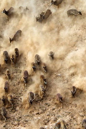 China's Wild Secrets