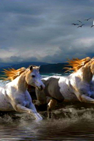 Нощем с белите коне