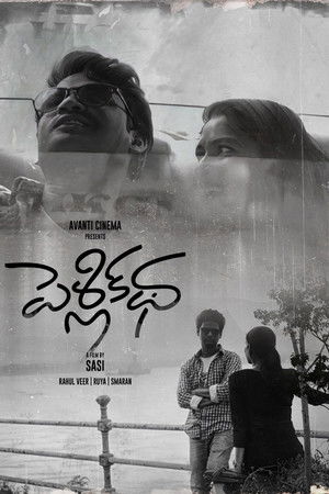 పెళ్లి కధ