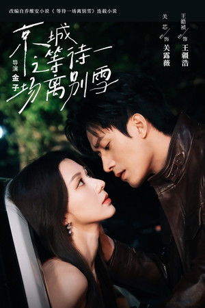 京城之等待一场离别雪