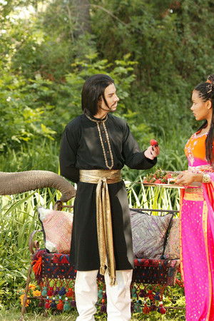 The Elephant Princess