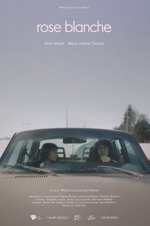 Rose Blanche