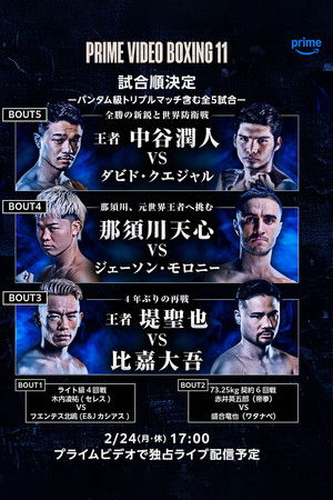 PRIME VIDEO BOXING 11