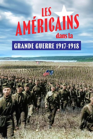 Les Américains dans la Grande Guerre : 1917-1918