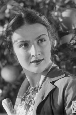 კოლხეთის ჩირაღდნები