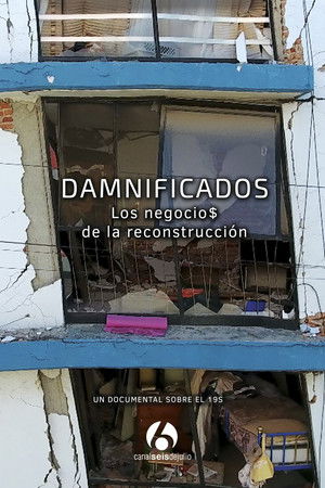 Damnificados: Los negocios de la reconstrucción