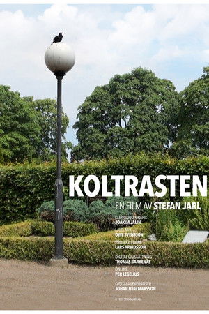 Koltrasten