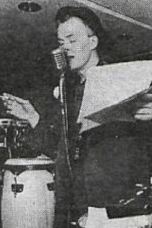 Leitin að Bogomil Font