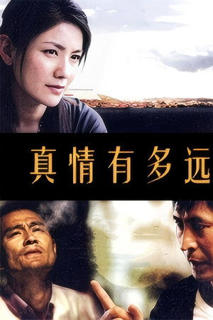 真情有多远