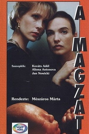 A magzat