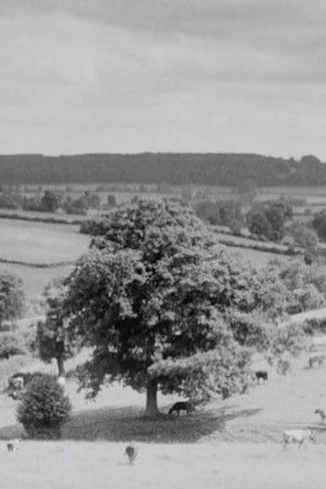 The Chiltern Country