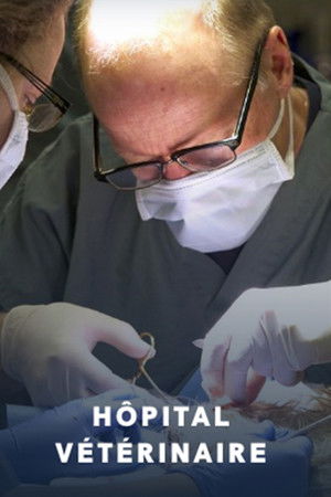 Hôpital vétérinaire