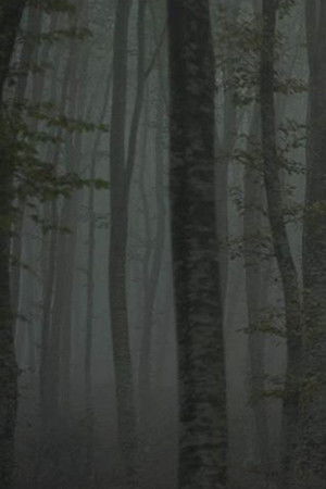 Καταφύγιο II: Το μονοπάτι του πάγου