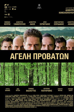 Αγέλη Προβάτων