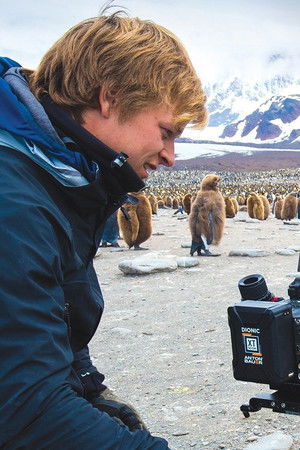 Wild Life with Bertie Gregory
