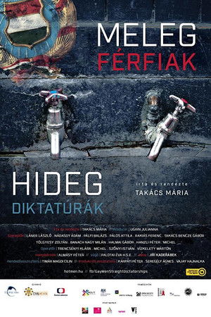 Meleg férfiak, hideg diktatúrák