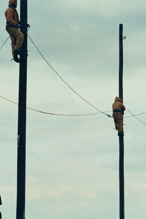 Leyleğin Geciken Adımı