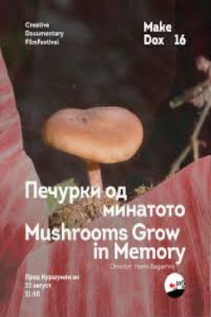 Печурки од минатото