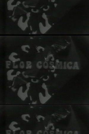 Flor Cosmica