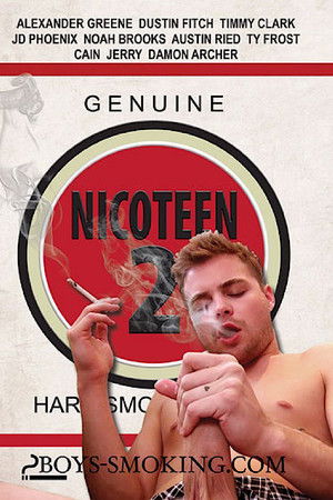 Nicoteen 2