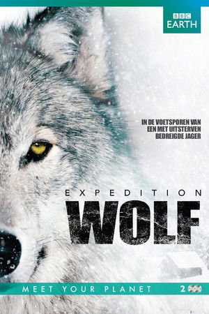 BBC Earth - Expedition Wolf