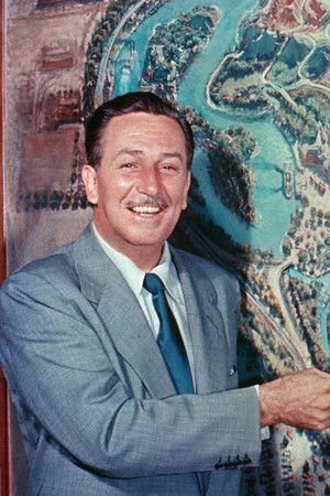 The Wonderful World of Disney