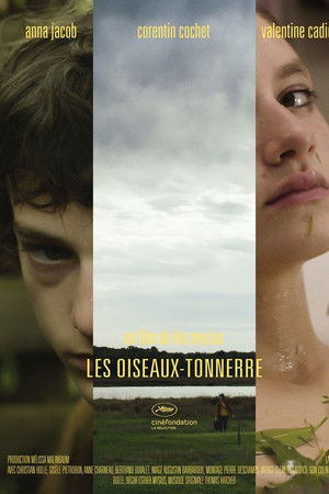 Les Oiseaux-tonnerre