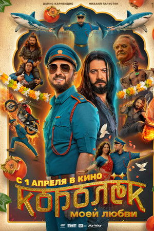 Королёк моей любви