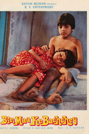 Bin Maa Ke Bachche