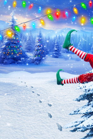 Big Brother Reindeer Games