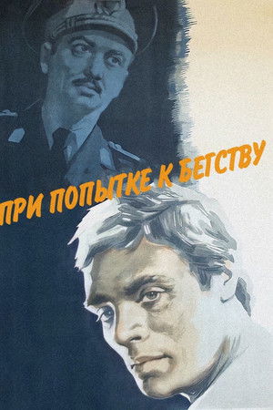 При попытке к бегству