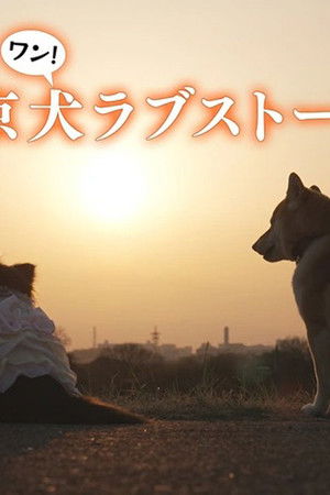 東京犬ラブストーリー