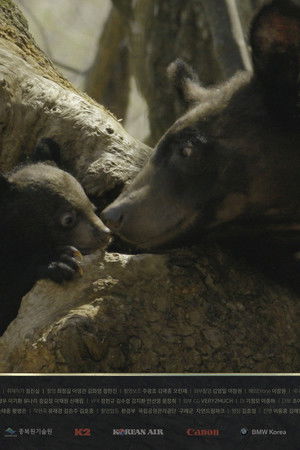 MBC 창사특집 다큐멘터리 곰